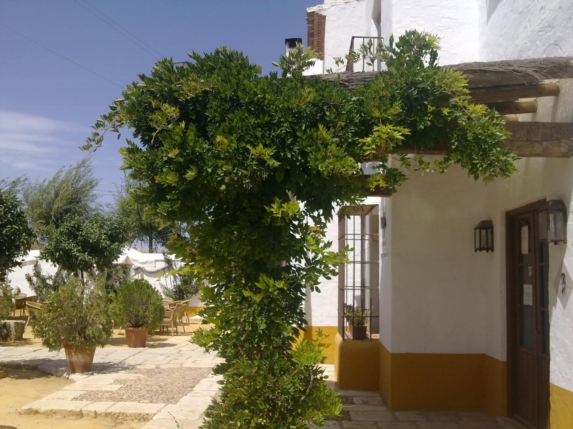 Posada De Jose Mª El Tempranillo Alameda Esterno foto